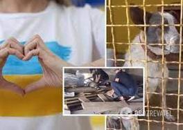 Стаття Робили масаж серця: волонтерам вдалося повернути до життя собаку з Херсонської області. Відео Ранкове місто. Одеса