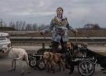 Стаття Мурал у Києві присвятили зоозахисниці з Ірпеня, яка вивела з міста десятки тварин Ранкове місто. Одеса