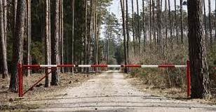 Стаття На території Донеччини діє заборона відвідування лісових масивів, - ДСНС Ранкове місто. Одеса