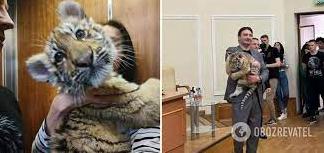 Стаття У московському цирку померло тигреня, яке росіяни вкрали із зоопарку Маріуполя. Фото Ранкове місто. Одеса