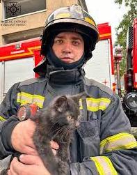 Стаття Під час гасінні пожежі в Одесі вдалось врятувати одну людину та 14 тварин (фото, відео) Ранкове місто. Одеса