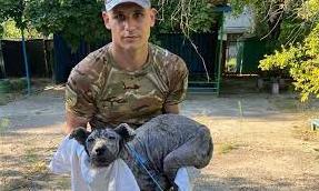 Стаття Поліціянти врятували хворого, знесиленого собаку в Кураховому Ранкове місто. Одеса