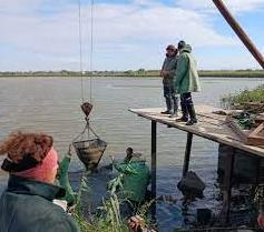 Стаття Відновлення фауни на Одещині: розпочато зариблення озер Ялпуг-Кугурлуй (фото) Ранкове місто. Одеса