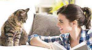 Стаття Як коти спілкуються з людьми: які слова розуміють? Ранкове місто. Одеса