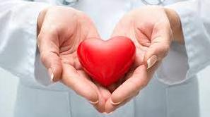 Стаття Як вберегтися від серцево-судинних захворювань: поради медиків Ранкове місто. Одеса