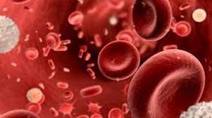 Стаття Збір на тести для встановлення групи крові, які допомагають рятувати життя воїнів на передовій! Ранкове місто. Одеса