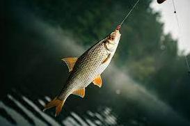 Стаття До уваги рибалок: з 1 квітня на водоймах області почне діяти заборона на вилов риби Ранкове місто. Одеса