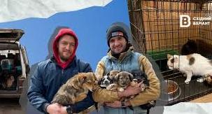 Стаття «Не можна забувати про тварин»: як волонтери евакуйовують тварин з Донеччини та допомагають ЗСУ Ранкове місто. Одеса