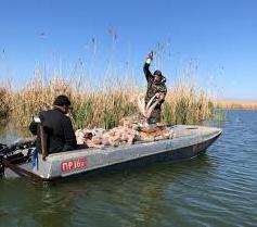 Стаття На озері на півдні Одещині екоінспектори встановили нерестові гнізда для риби (фото) Ранкове місто. Одеса