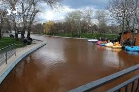 Стаття У мерії Одеси пояснили причину потемніння води в ставках парка Перемоги Ранкове місто. Одеса